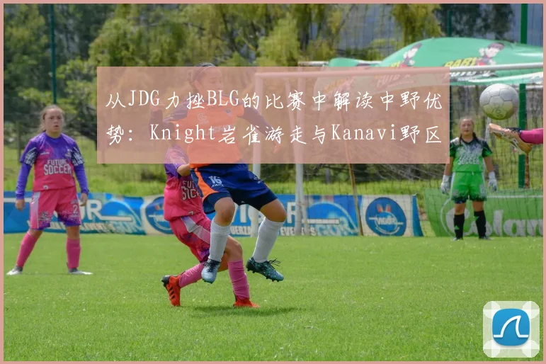 从JDG力挫BLG的比赛中解读中野优势:Knight岩雀游走与Kanavi野区掌控节奏深度解析